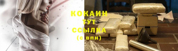 крисы Михайлов