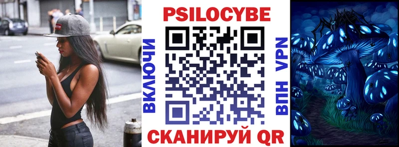 shop формула  Новокузнецк  Галлюциногенные грибы Cubensis 